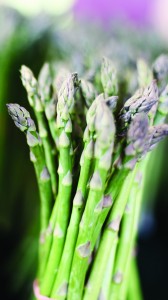 asparagus-is2248317Large