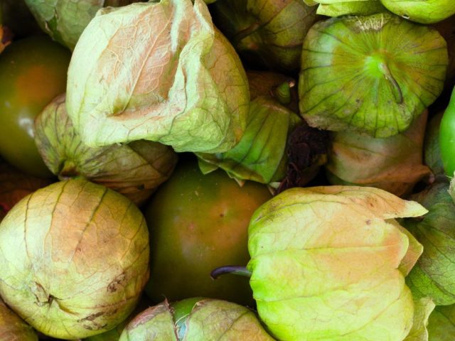 Tomatillo event