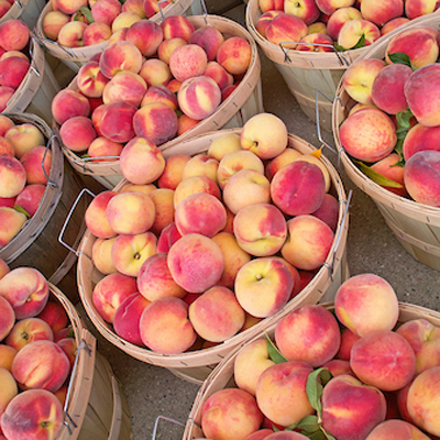 Bushels of Fresh Peaches