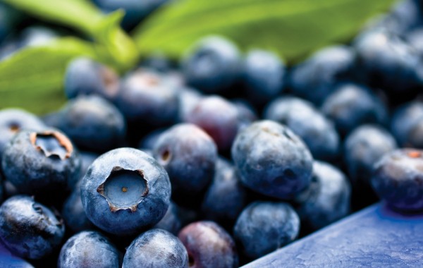 blueberries-is6541597Medium