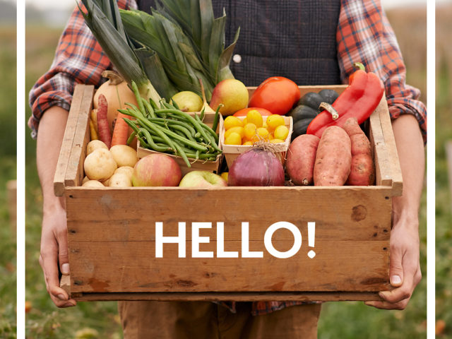 hello_farm fresh veggies_box