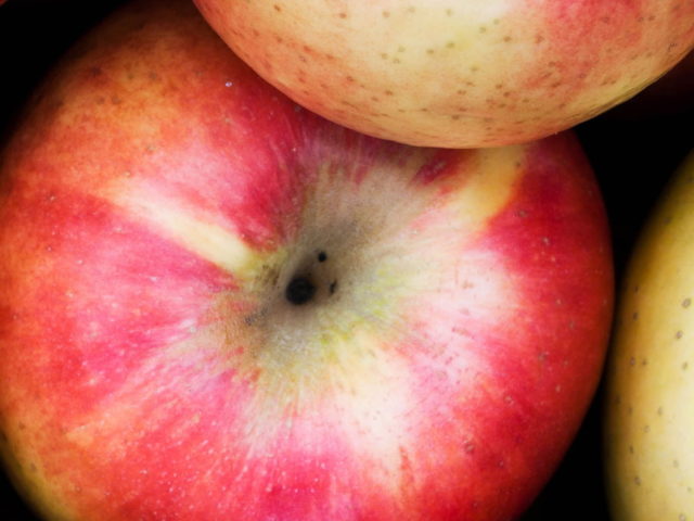 Apples.jpg