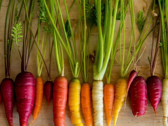 Organic Carrots from the Garden