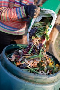 curious_composting-is9013928web