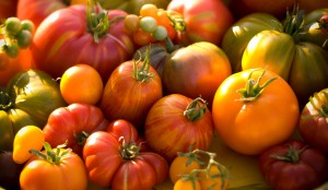 tomatoes-is04039917_web