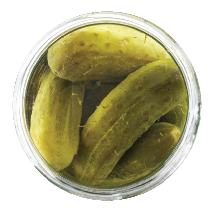 ELC - Pickles-01