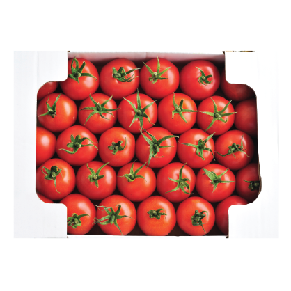 ELC - Tomatoes-01