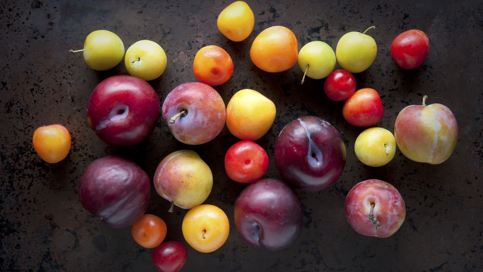 Fresh Plum Assortment