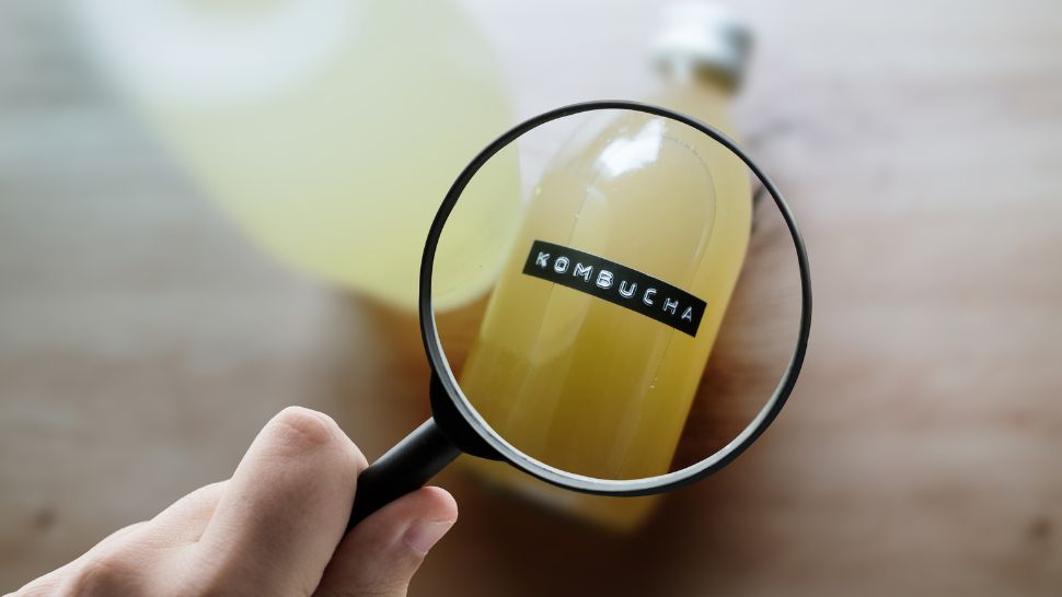 a hand holding a magnifying glass over a jar of kombucha