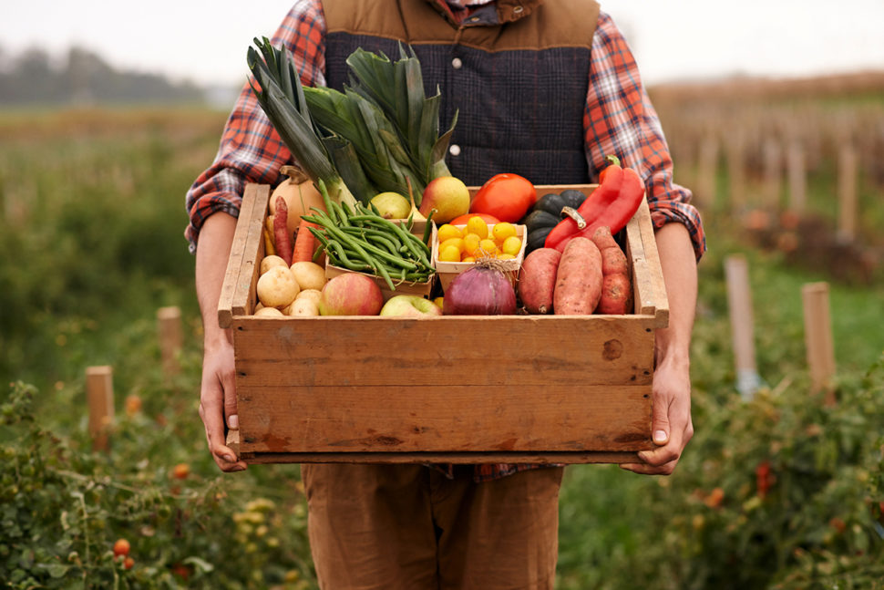 A person holds a wooden box filled with freshly picked vegetables in a garden.
