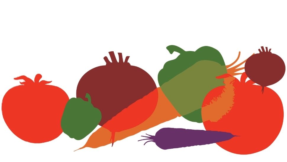 colored vegetable graphics on a white background