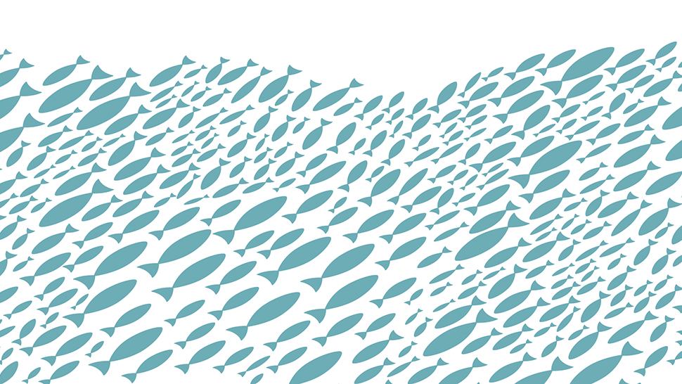 Fish illustration, fish swimming in a wave formation