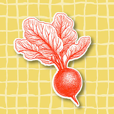 ELC Beets Stay Fresh Image