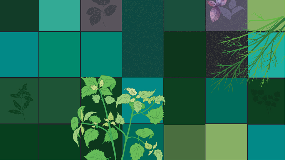 Dill and parsley dance across a leafy checkerboard of bold greens and teal.