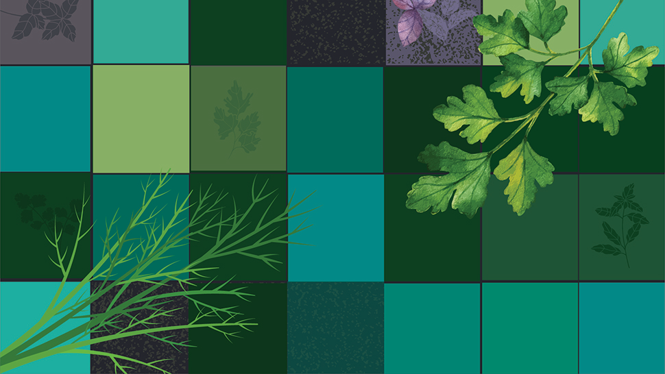 Illustration of dill and parsley over a green and teal checkered background.