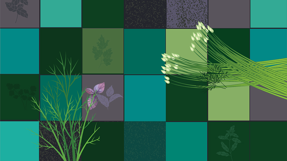 Illustration of bright herbs and blossoms on a patchwork of rich green tones and subtle leaf prints.