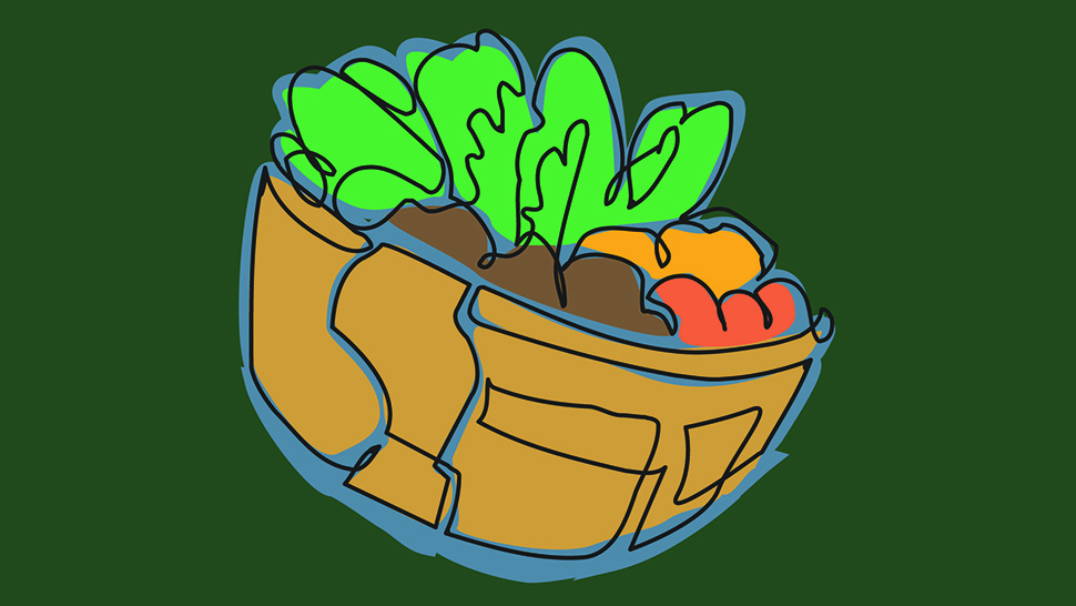 An illustration of a basket overflowing with colorful vegetables like carrots, tomatoes, and lettuce.