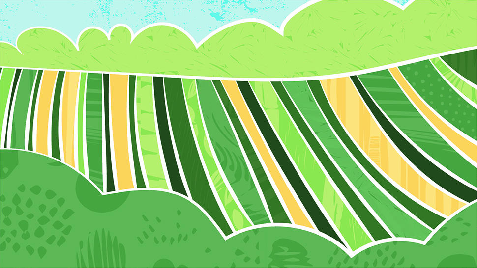 Illustration of a tranquil green and yellow farm field, highlighted by a rolling hill and a cluster of trees.