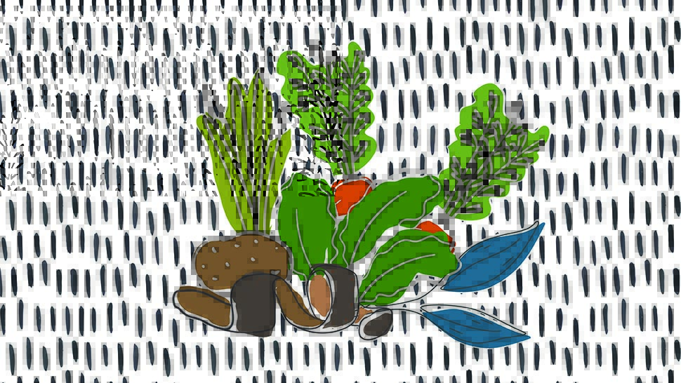 A modern illustration of a few different root vegetables.