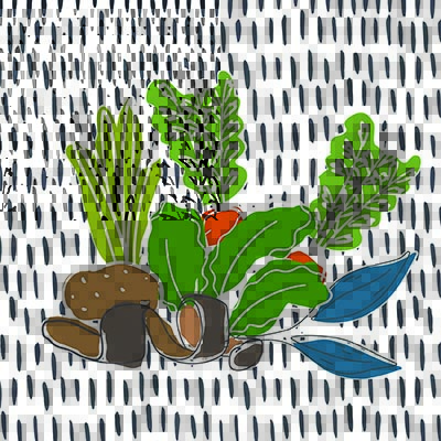 23-8854SFWD-Article3-Panel400x400