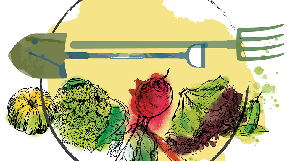 Illustration of assorted vegetables on a plate with fork and knife, suggesting plant-based eating and reduced food waste.