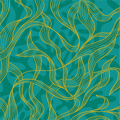 25-9222SeafoodMonth_WEBSITE_FNL_Article 1 Panel Image