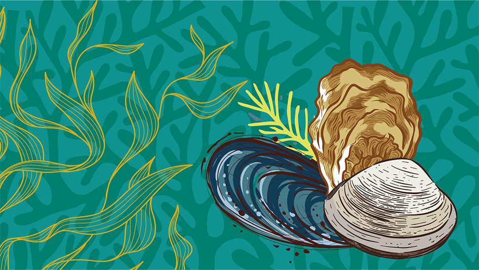 Colorful sea-inspired design with a clam, swirling waves, and flowing seaweed.