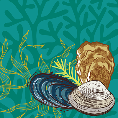 25-9222SeafoodMonth_WEBSITE_FNL_Article 2 Panel Image