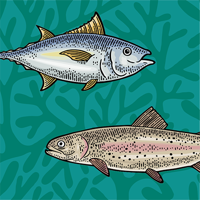 25-9222SeafoodMonth_WEBSITE_FNL_Article 3 Panel Image