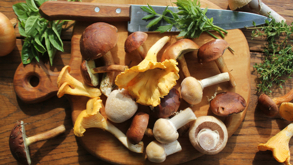 Foraged mushrooms and herbs on a wooden board in warm autumn light.