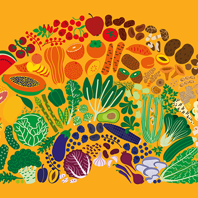 Illustration of diverse fruits, vegetables, grains, and legumes arranged in a colorful rainbow on an orange background.