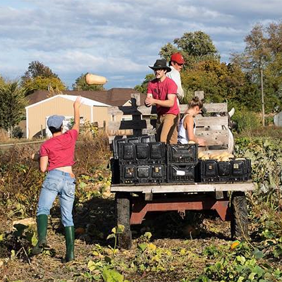 whitman_gleaning_squashtossing_143_400x400