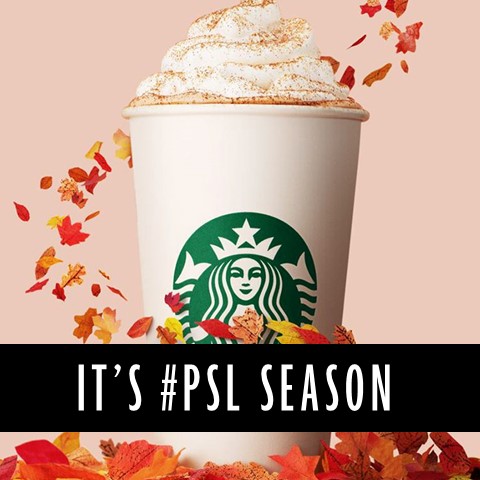 #psl x1x stay fresh