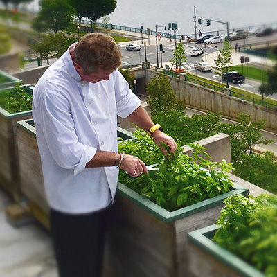 MIT_rooftopfarm_400x400