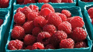 raspberries-dt9956271