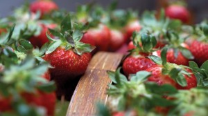 strawberries-is3193424Large