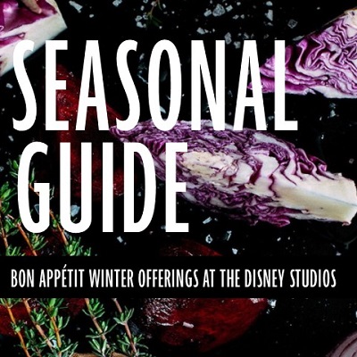 seasonal winter guide promo x1x