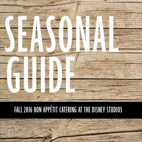 seasonal guide fall  promo x1x