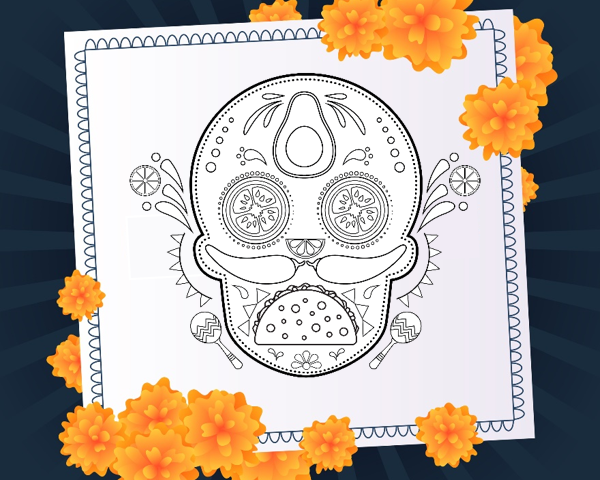 calavera cba 4×4