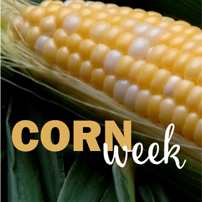 cornweek 4×4