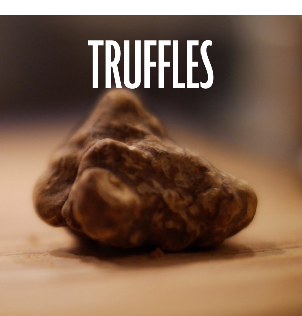 truffle 4×4.jpg