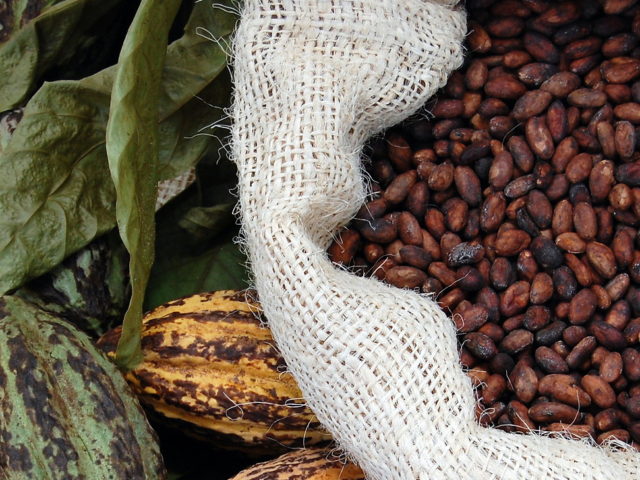 Cocoa-146969350-3008×2000.jpg